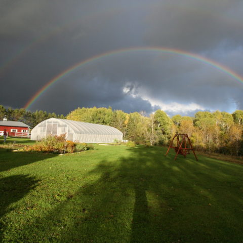 rainbow at the farm