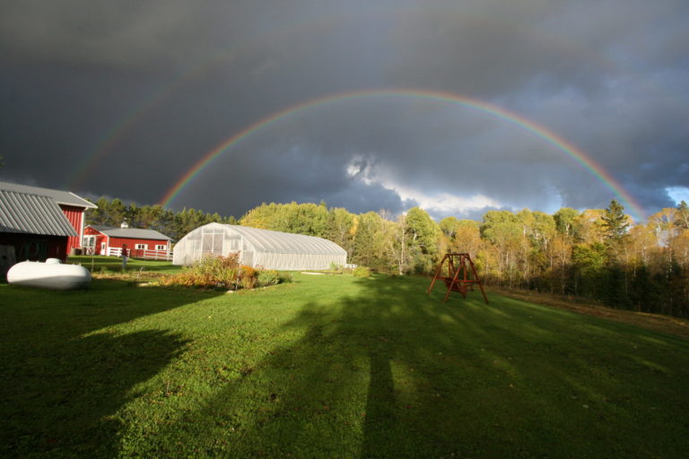 rainbow at the farm