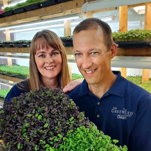 Two people holding bunches of microgreens. One microgreen bunch is green and the other is purple.