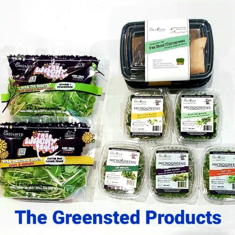 Packaged Greensted products. The product include plastic containers of microgreens, bags of microgreens, and a grow-your-own microgreens kit.