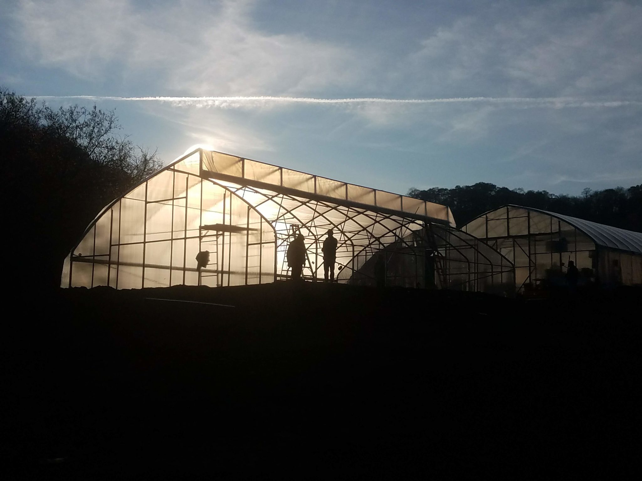 greenhouse at night