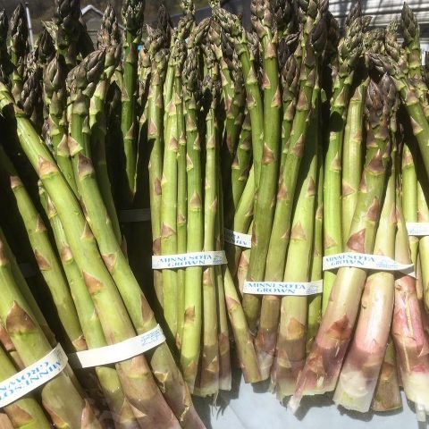 many bundles of asparagus held together by Minnesota Grown rubber bands