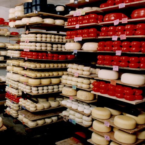 Picture of stacks of wheels of cheese on shelving units in an aging room.