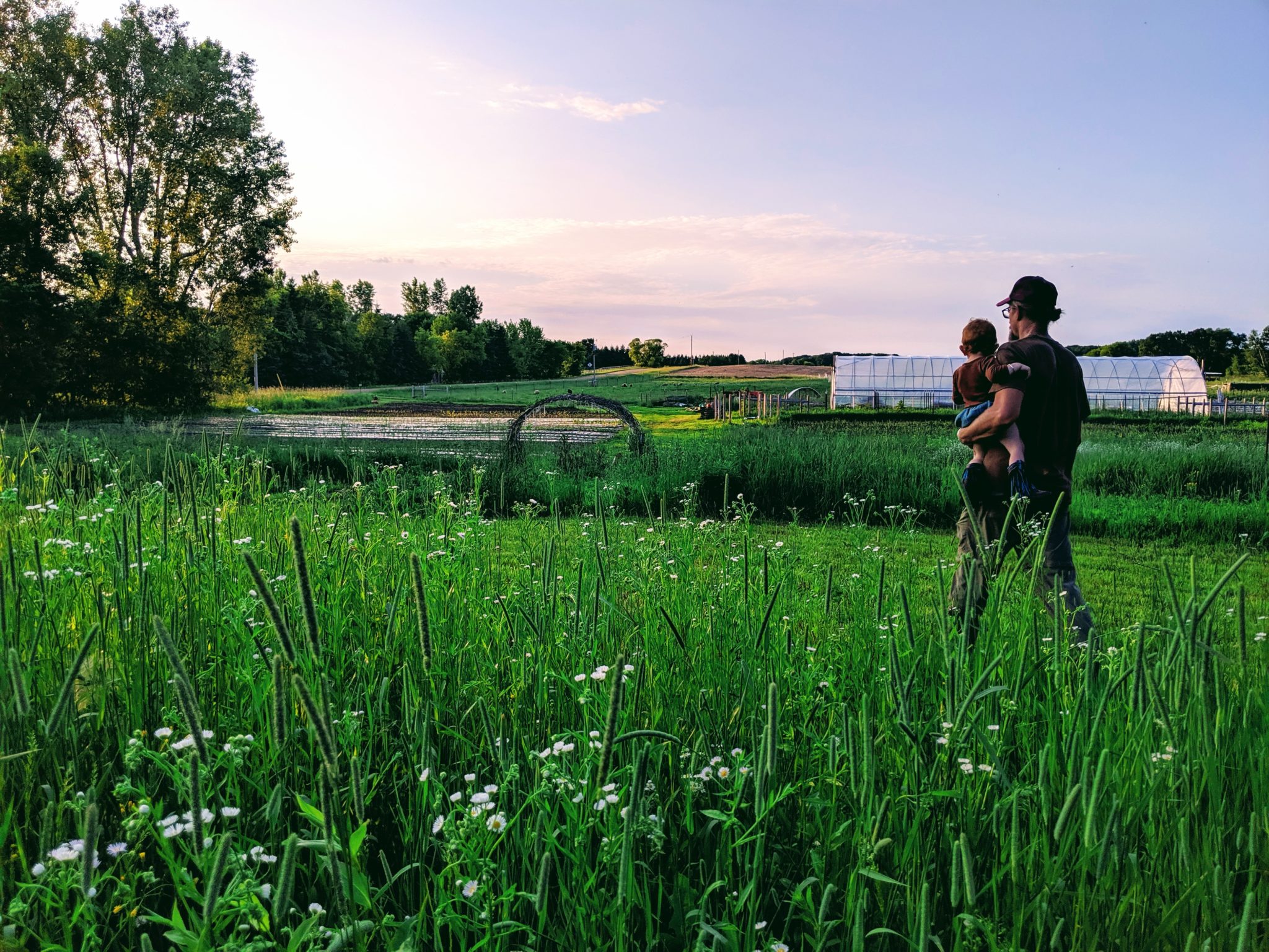 Dancing the Land Farm Minnesota Grown