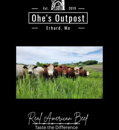 Ohe's Outpost, Erhard MN. Brown and white cattle in green pasture.