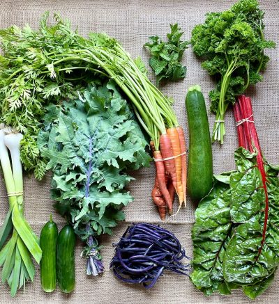 photo of a csa share full of fresh veggies