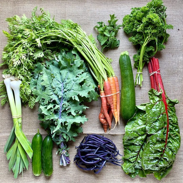 photo of a csa share full of fresh veggies