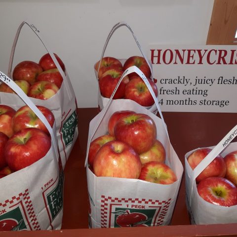 Bagged honeycrisp apples