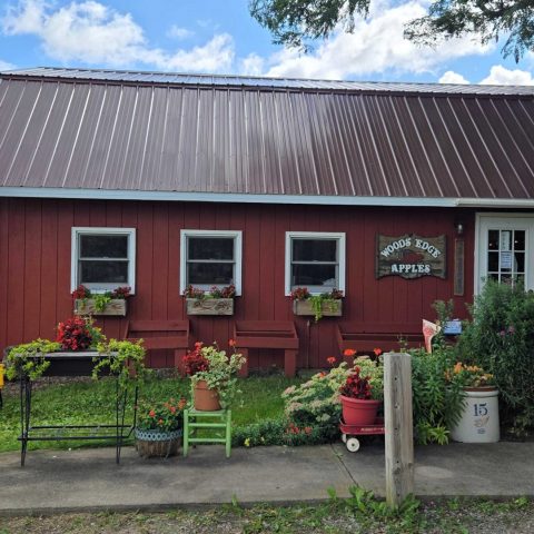 Red shed farm store with a Woods Edge Apples sign on the side. plants and secor line the sidewalk. a photo cut out of two scare crows sits on the right edge of the photo
