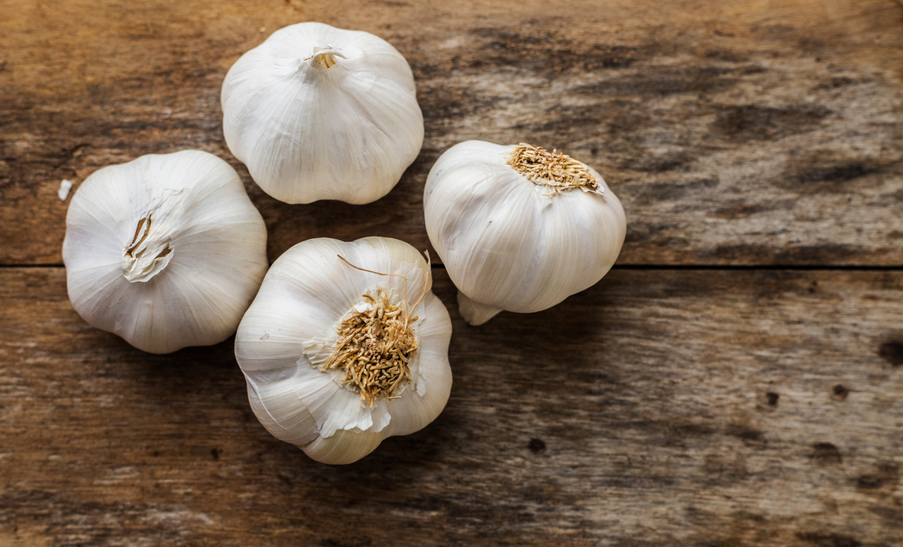 garlic Minnesota Grown