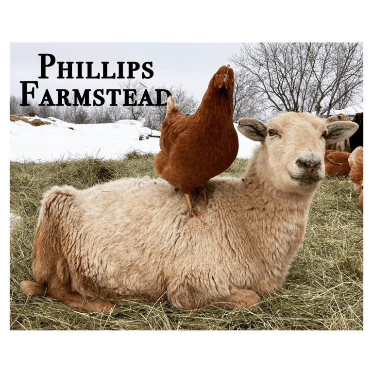 Phillips Farmstead logo features a sheep laying on the ground with a chicken on its back