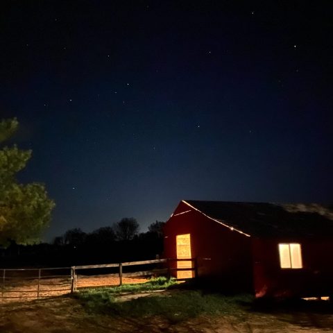 Nighttime photo of red barn with lights on inside, shining out into animal yard