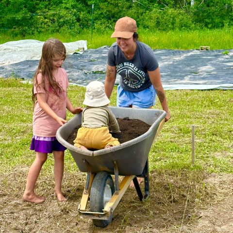 Picture of a woman holding a wheelbarrow with a young child in a yellow outfit in it. There is a young girl in a pink outfit standing next to the wheelbarrow.