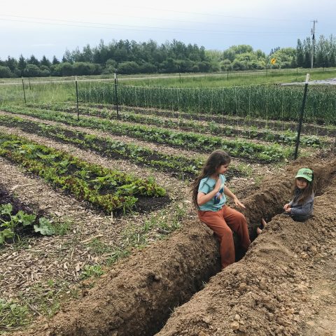 Picture of two kids sitting with their feet dangling off the edge of a large hole dug along side a field of green rows.