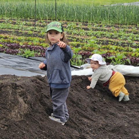 Picture of two young kids, one a toddler and the other a baby, next to a field of green rows.