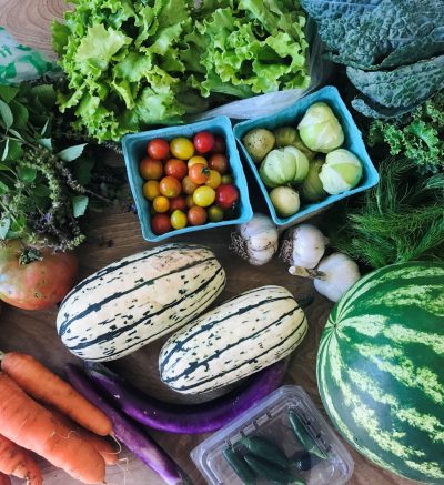 A picture of a huge array of fresh produce. There are ground cherries, cherry tomatoes, garlic, a watermelon, carrots, muli-colored tomatoes, lettuce, kale, other various greens, and a white and green striped squash.