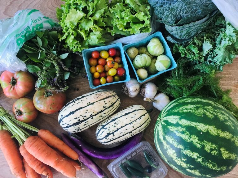 A picture of a huge array of fresh produce. There are ground cherries, cherry tomatoes, garlic, a watermelon, carrots, muli-colored tomatoes, lettuce, kale, other various greens, and a white and green striped squash.