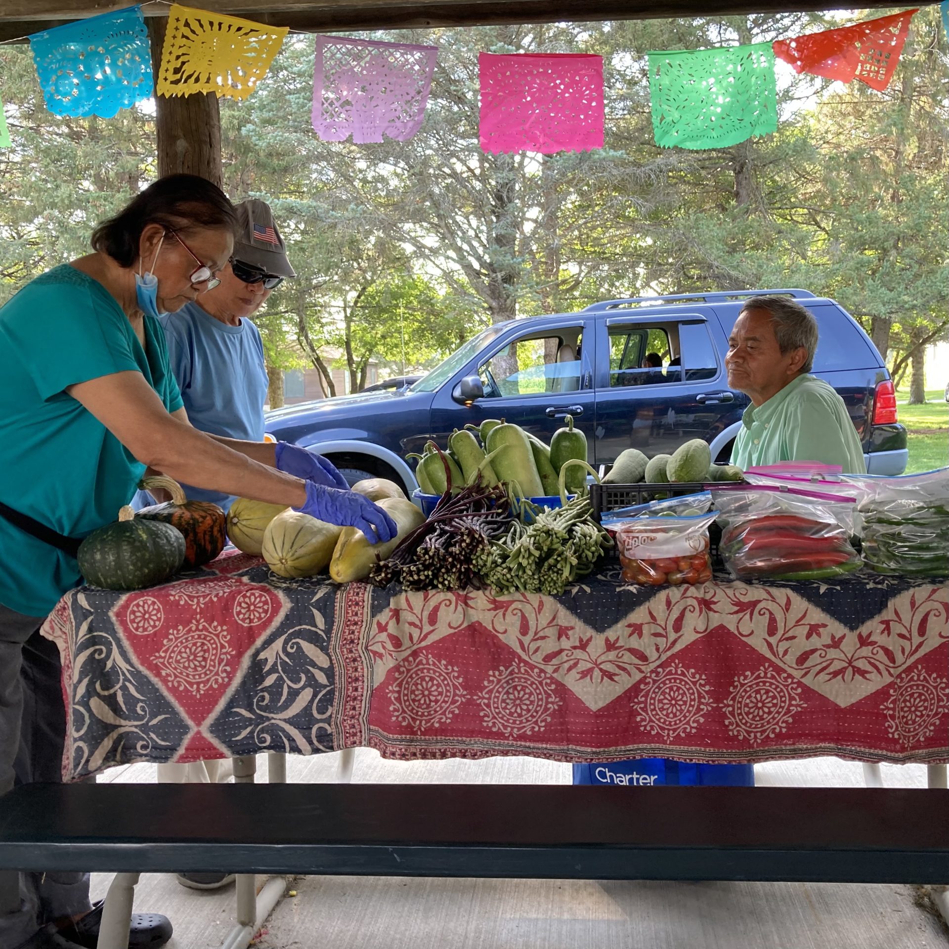The Village Agricultural Cooperative Minnesota Grown