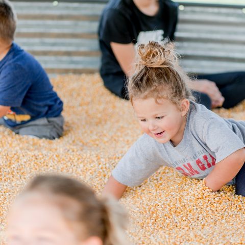 Children playing in corn pit