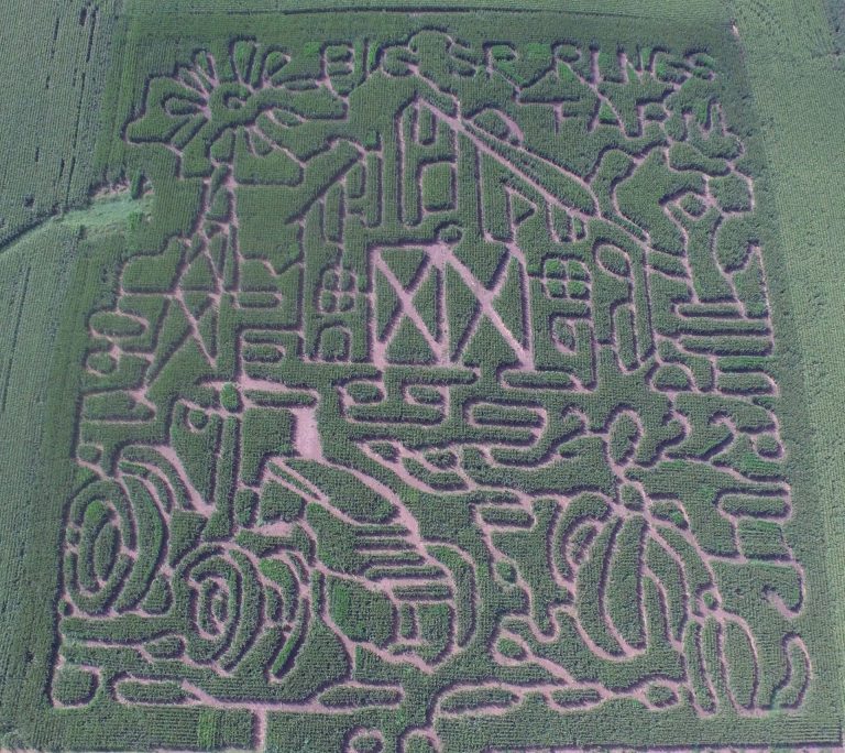 Big Springs Pumpkin Farm and Corn Maze