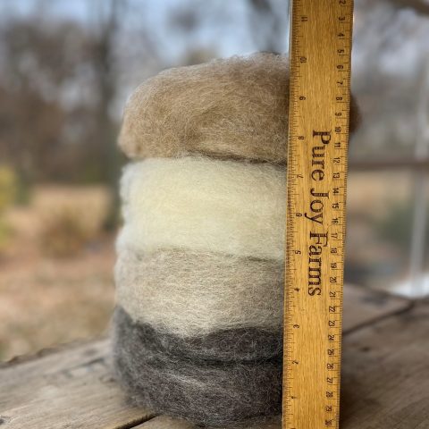 A stack of round disks of multi-colored raw wool, including light tan, white, light gray, and dark gray. A ruler beside the stack indicates the stack is 10 inches tall.