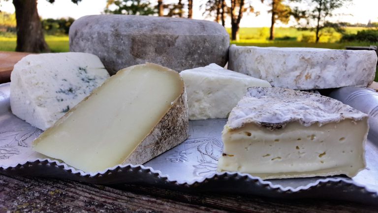 Assortment of Shepherd's Way farmstead cheeses.