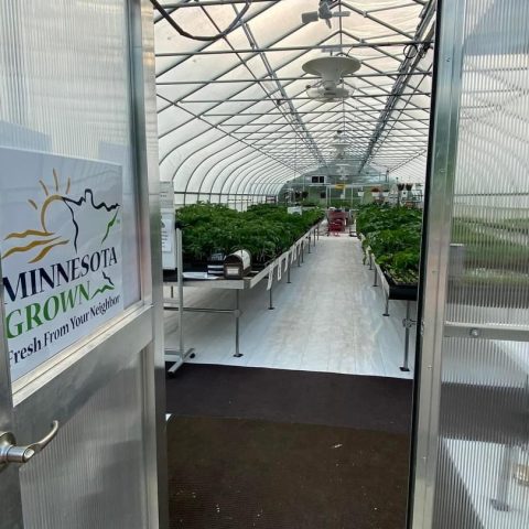 Entryway to a greenhouse with young plants
