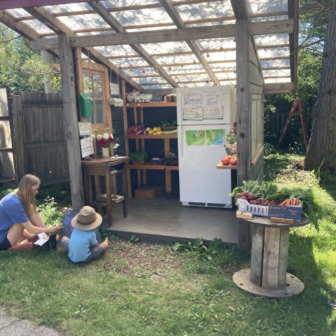 A picture of an outdoor farmstand with a shelving unit with vegetables and a fridge inside. The farmstand has a roof and there are children playing in front of it.