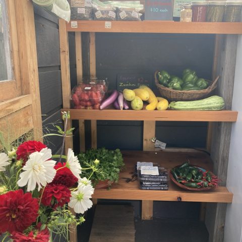 A picture inside the farmstand of the shelving unit with a variety of fresh vegetables on it.