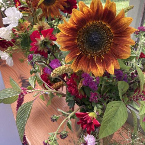 A picture of a bouquet of flowers. There is a large orange flower with smaller red, pink, and purple flowers.