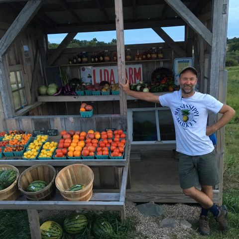 Lida Farm stand mixed fruits and vegetables