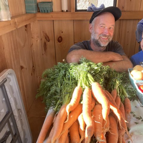 Farmer showing off his quality carrot harvest