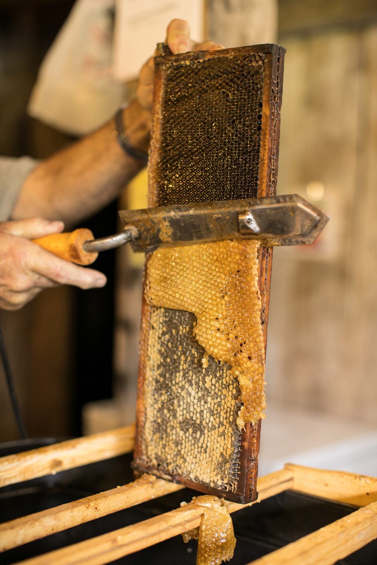 2023.01.09 Submitted Bone Lake Meadows Apiary processing honey