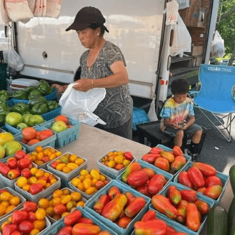 Picture of a female holding a plastic bag behind a farmers market table loaded with baskets of tomatoes and peppers.