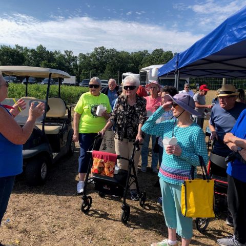 A group of senior-citizens on a tour of a blueberry farm