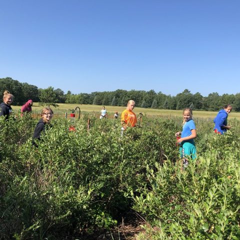 Seven youth workers posing for a photo in a blueberry field