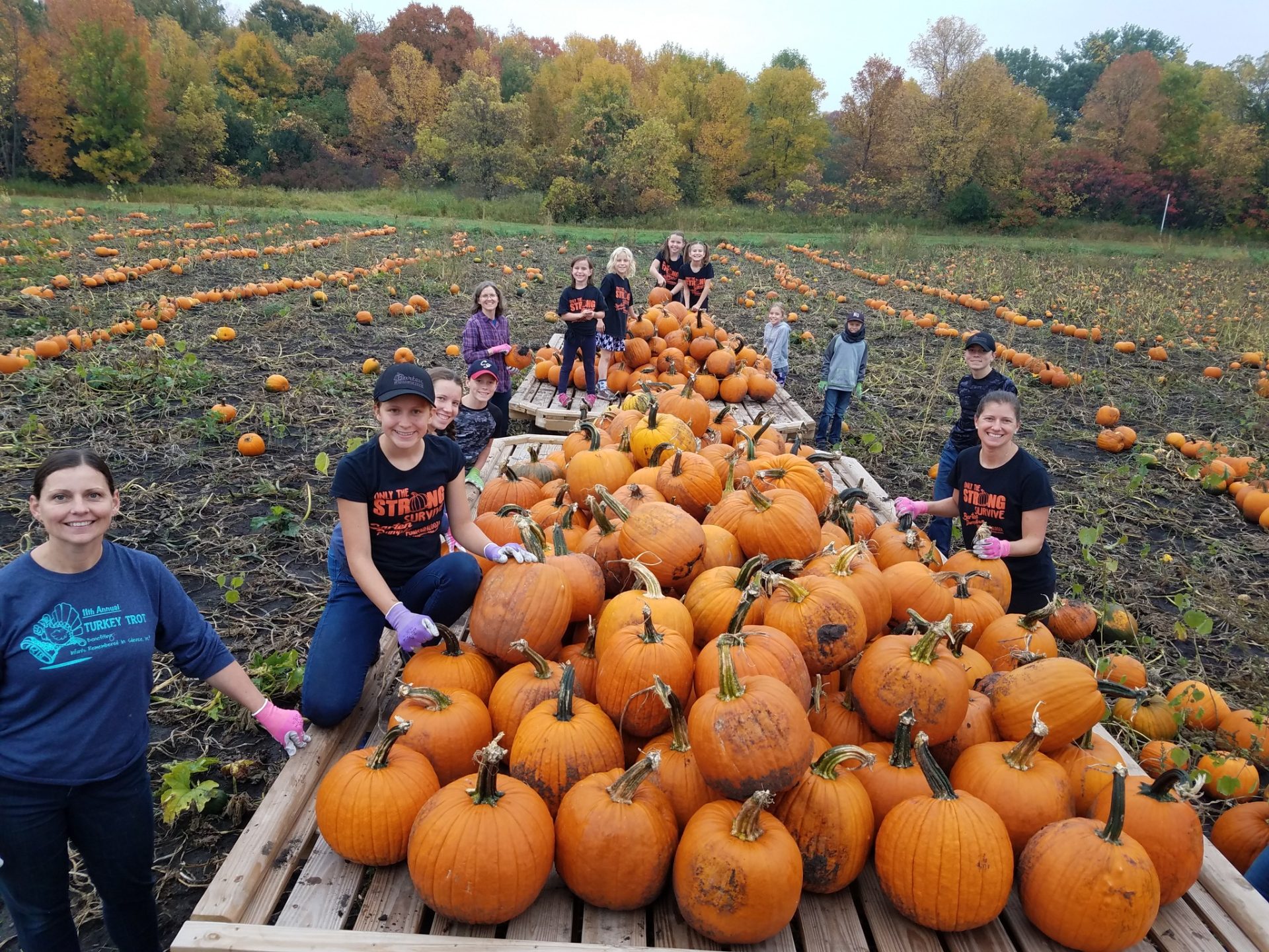 trailer with pumpkins