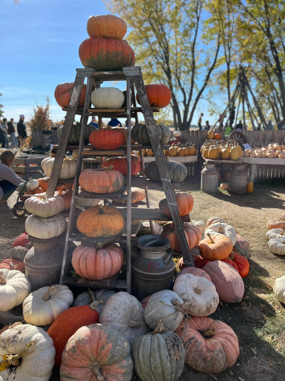 2023.10.19 Bartens Pumpkins MM 3