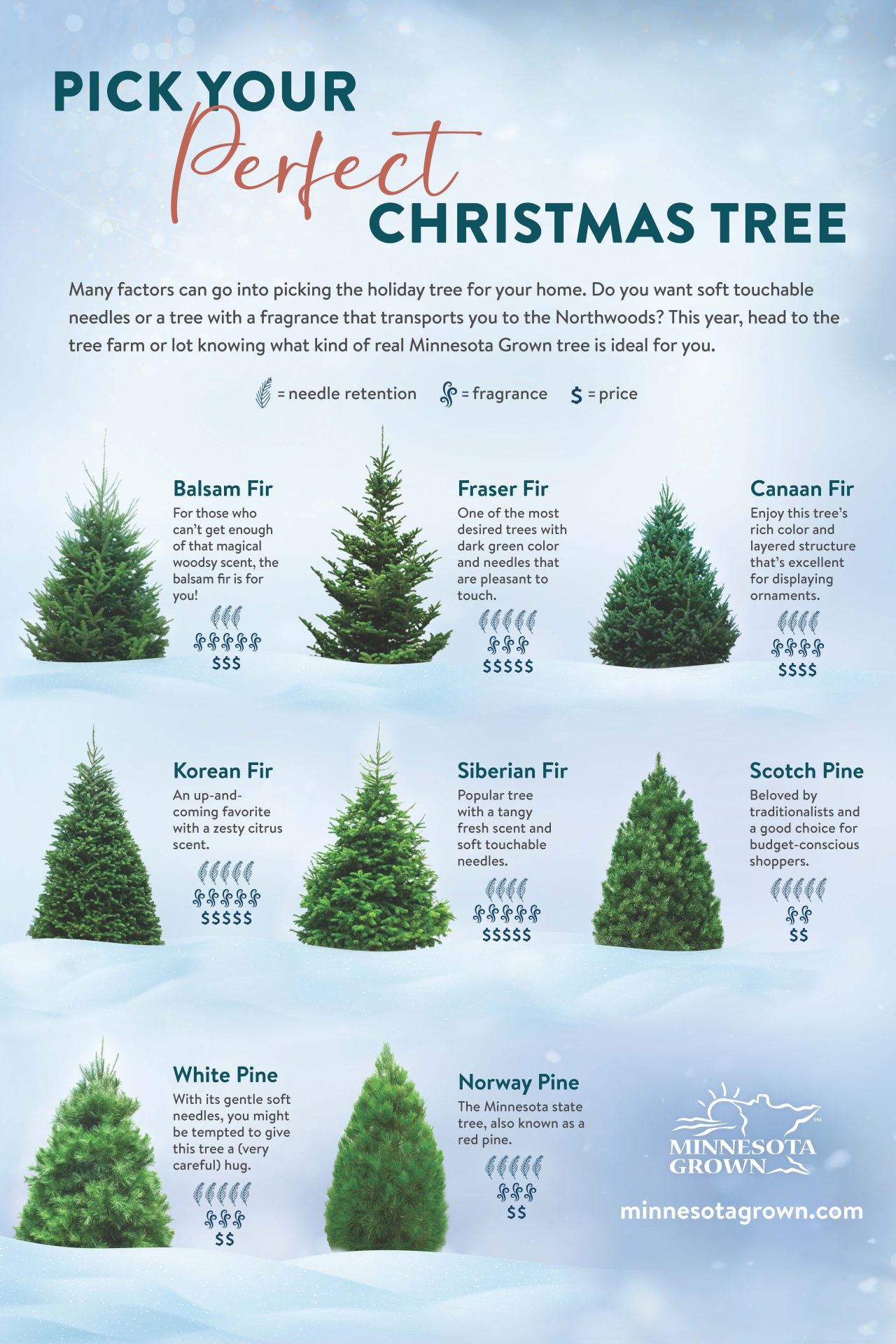Christmas Tree Variety Poster 2x3