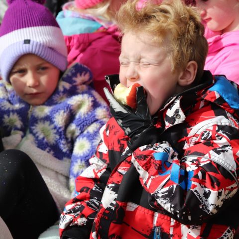 Children at a school biting into local apples.
