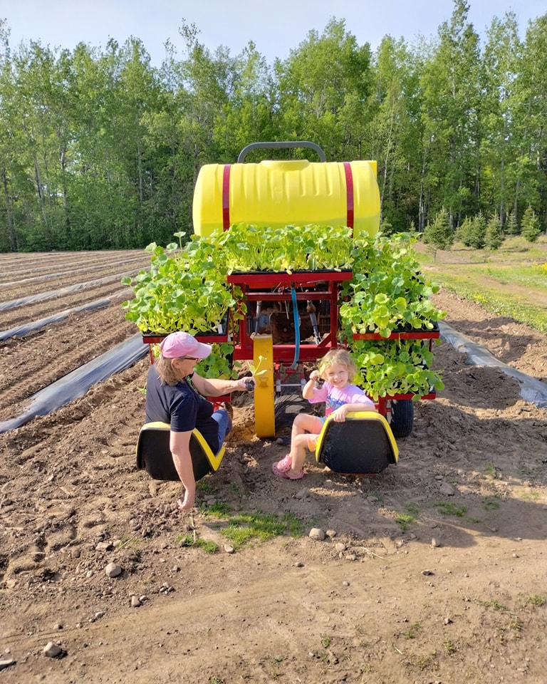 Planting Pumpkins