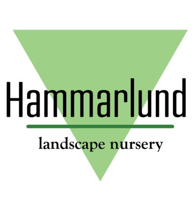 Hammarlund Nursery logo