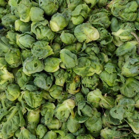 Close-up picture of brussel sprouts.