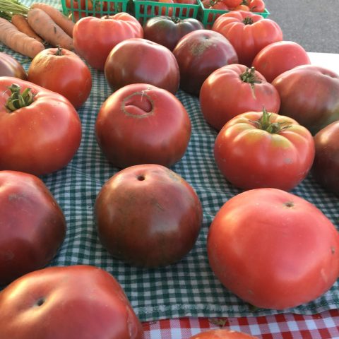 Fresh tomatoes on a table with checkered tablecloths on it.