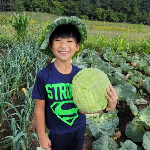 Boy in cabbage field holding cabbage with a cabbage hat