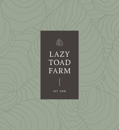 Lazy Toad Logo in muted light and dark green
