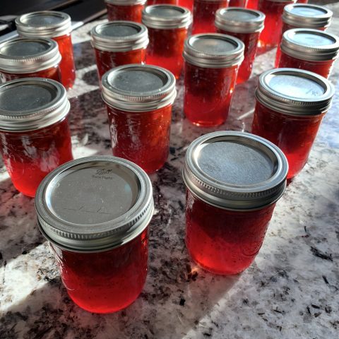 Picture of many jars of jam or honey on a granite countertop