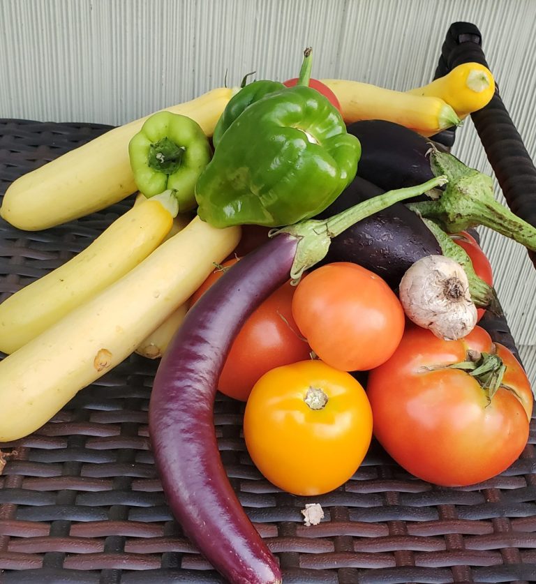Array of summer vegetables, including tomatoes, green peppers, yellow squash, eggplants, and garlic.