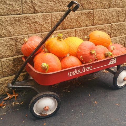 A red wagon filled with small orange and yellow pumpkins.