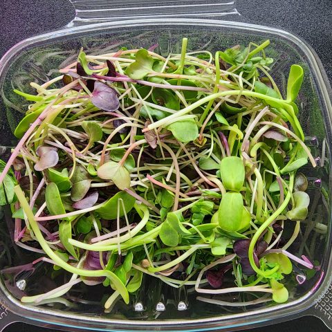 Open package of a mixed microgreens.